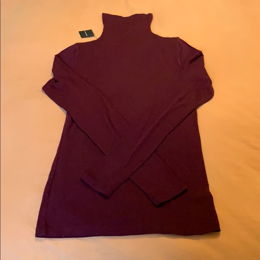 Club Monaco turtleneck